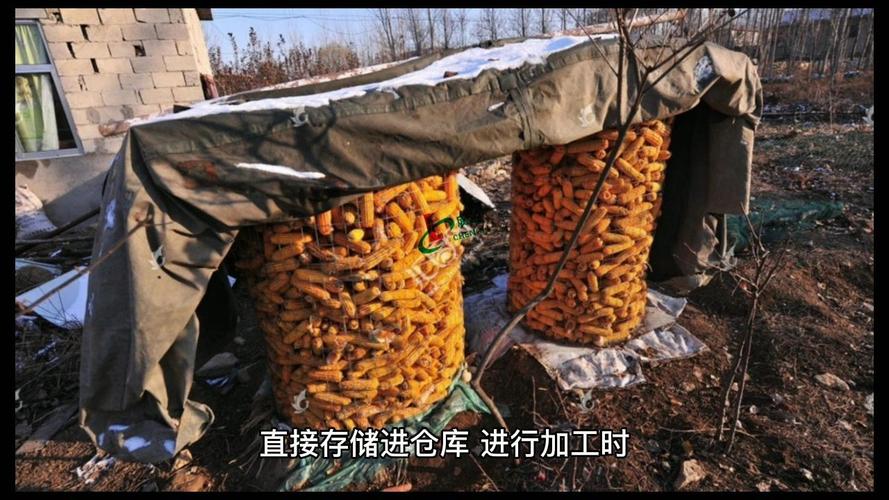 玉米杂粮深加工设备安装喂料器在设计时应满足以下要求!